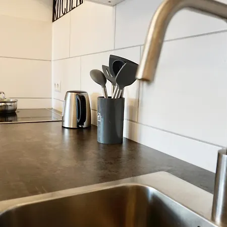 Lounge Mit Privatem Stellplatz Fuer Bis Zu 4 Personen - Stadtnah Appartement Coblence